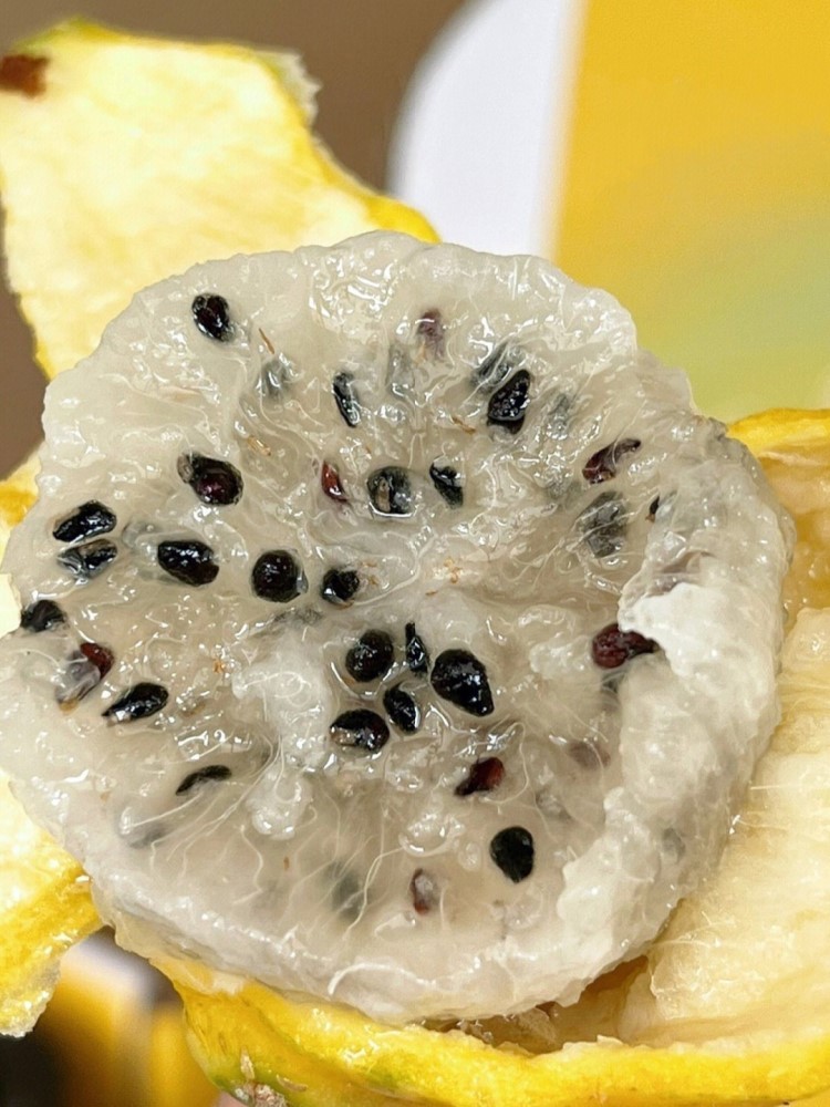 海南燕窝果2斤约4-6颗【单果3-4两】