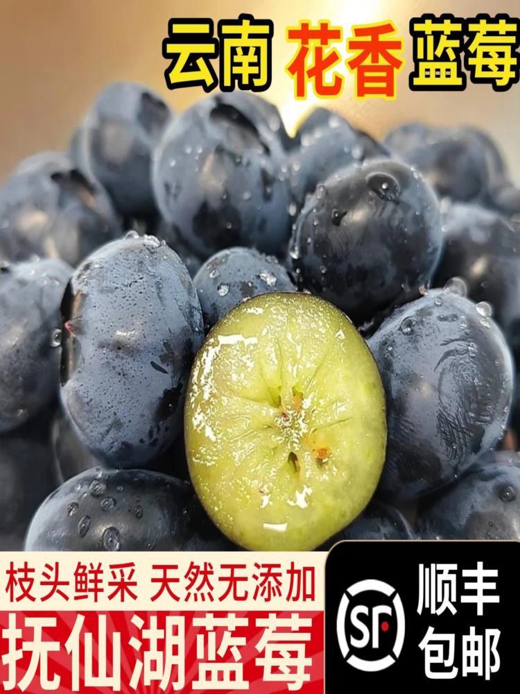 【顺丰/京东】花香蓝莓 125g*4盒 果径18mm+ 云南澄江抚仙湖