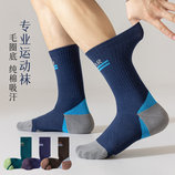 多色4双组