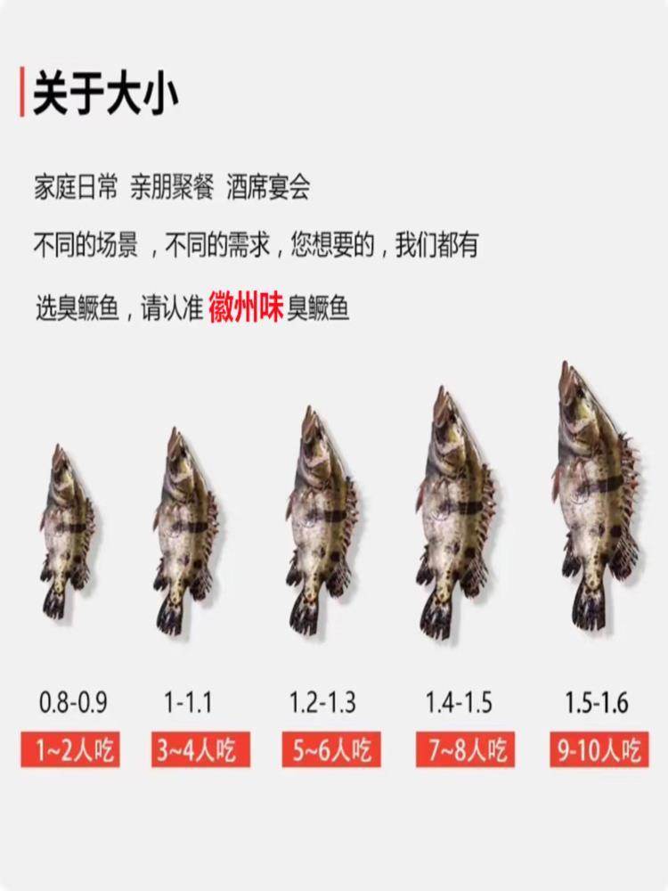臭鳜鱼 净膛6-7两/条 腌制半成品 黄山特产含包装