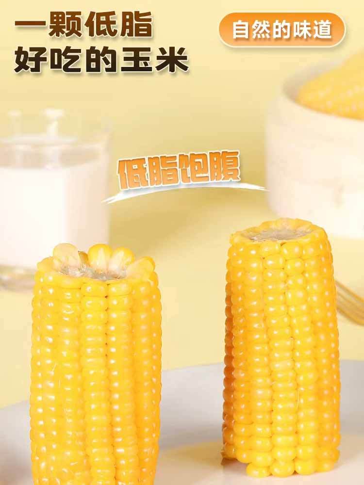 【到手20根】有机·东北鲜食黄糯黏玉米220g/根（糯9）