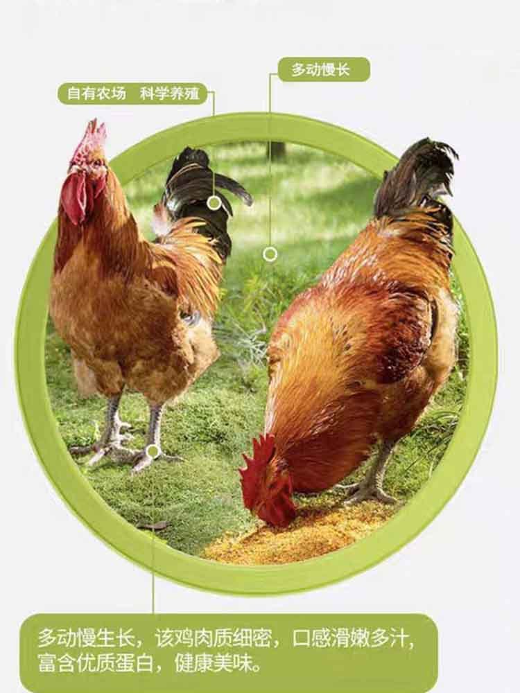 【非遗产品】松茸烧鸡500g*4袋 卤味熟食 整只 老汤熬煮 传统工艺