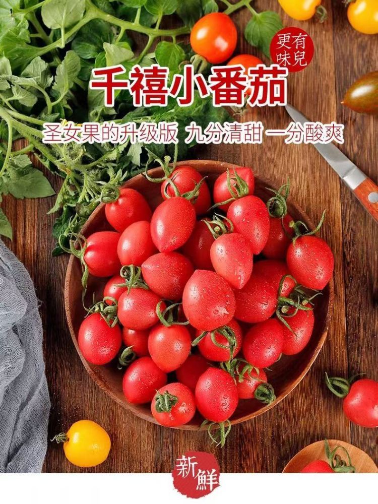 新鲜山东特产千禧小番茄五斤特惠装·统一