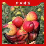 20个