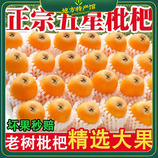 共同