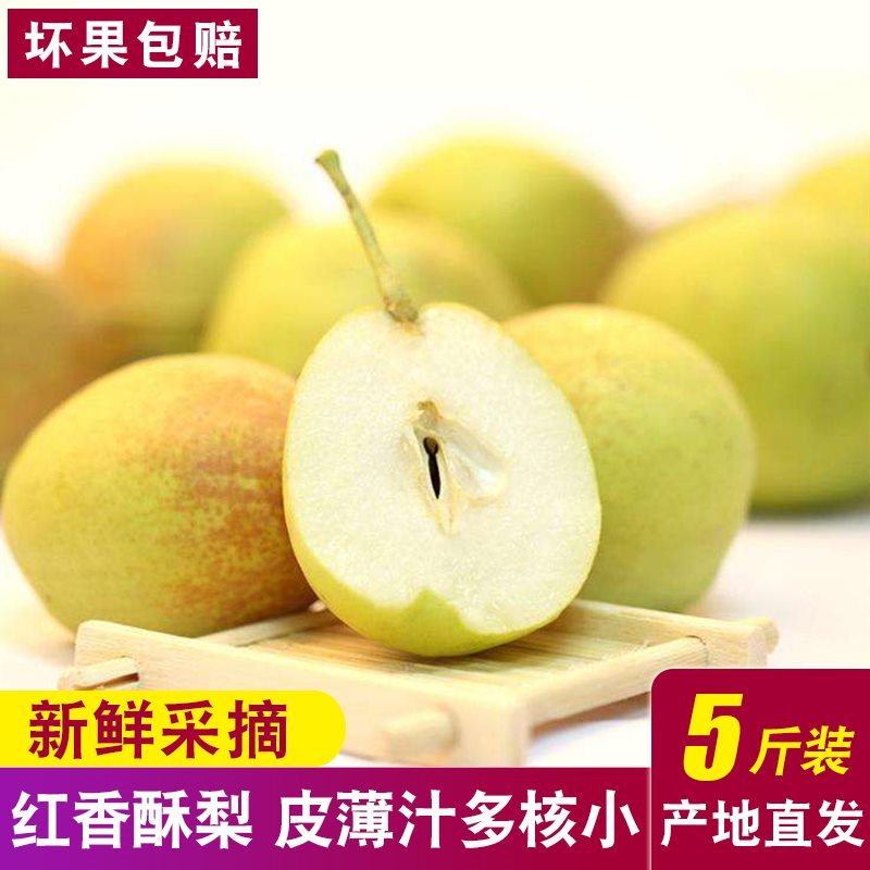 【河北特产】红香酥梨 新鲜水果 约5斤