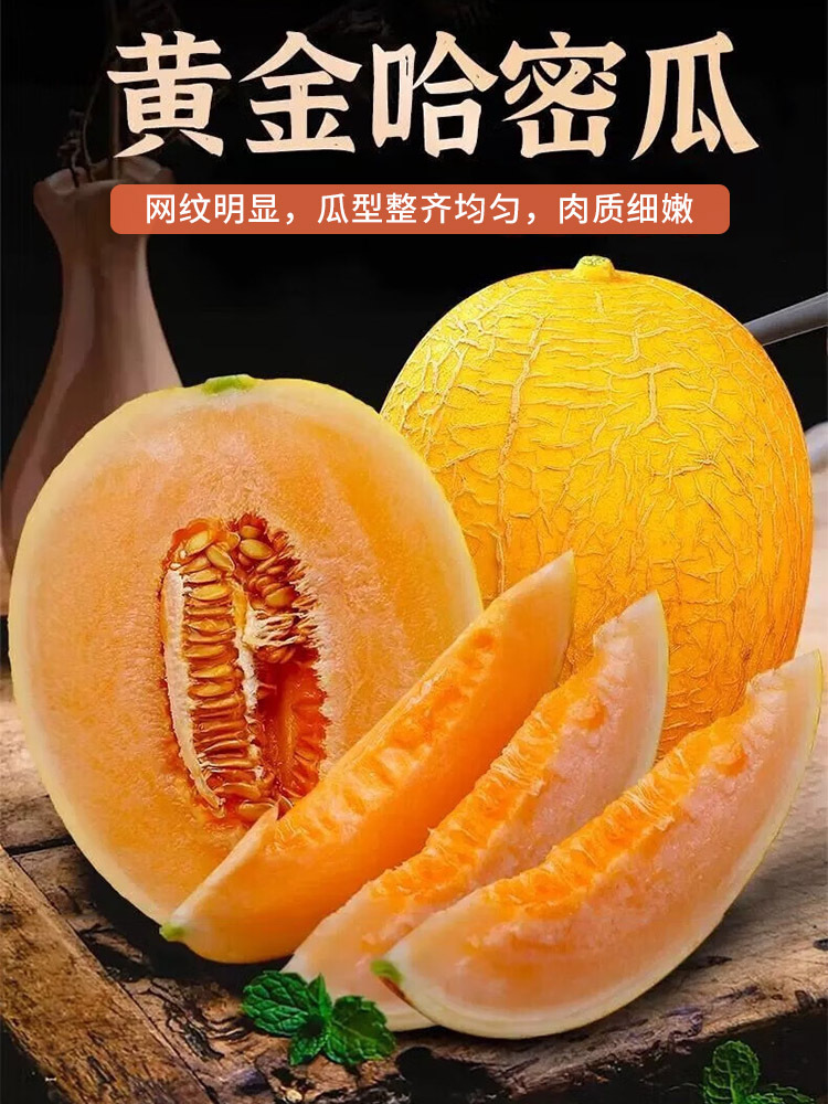 黄哈密瓜【金色年华】净重4.5-5斤【2个】
