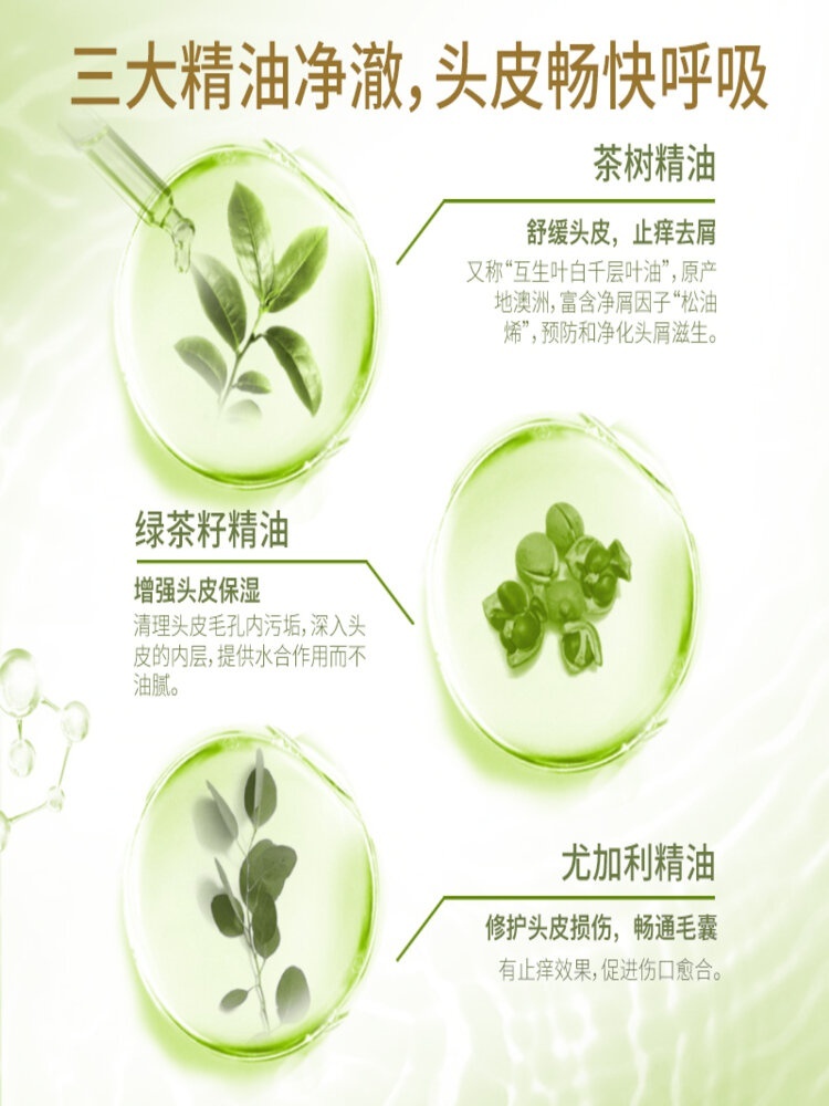 舒蕾(KY) 绿茶籽控油去屑洗发水500ml+牛奶水润沐浴露650ml