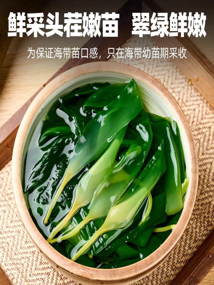 海带苗 500g*5包（小苗） 霞浦特产级新鲜嫩苗火锅食材