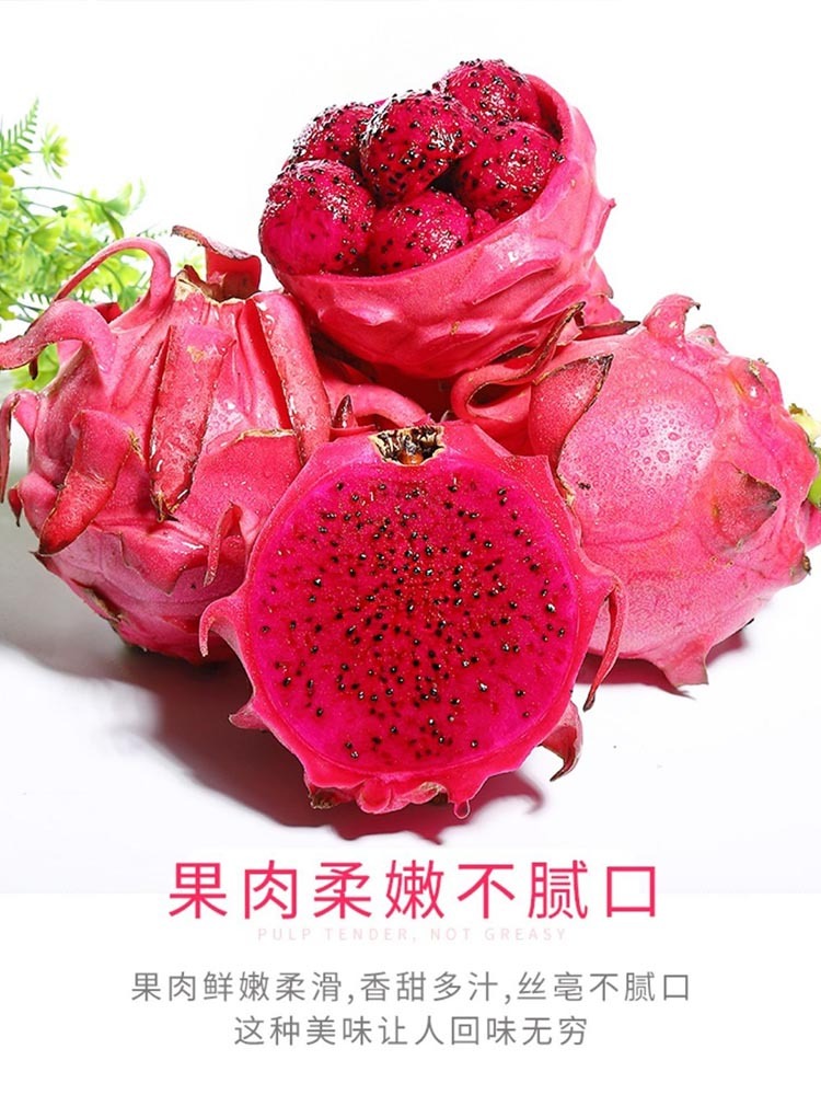 广西红心火龙果净重5斤大果 【单果6-8两】果肉嫩爽口 皮薄肉厚