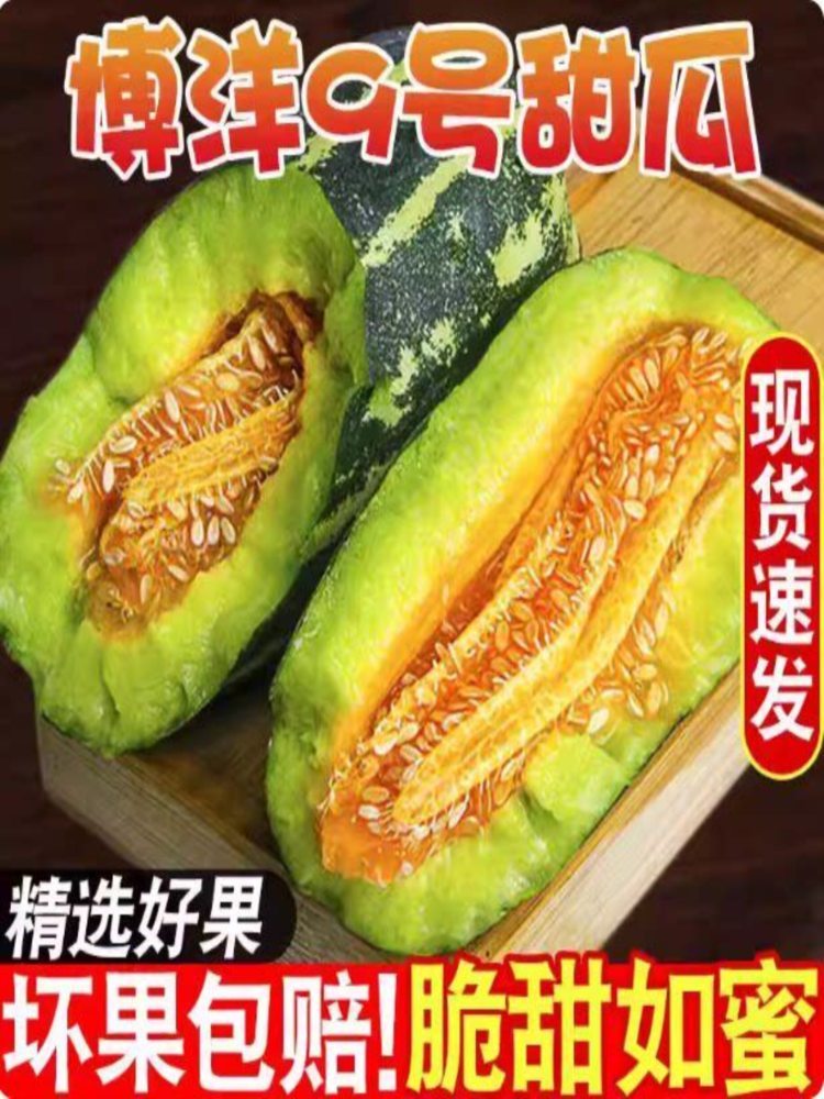 博洋9甜瓜 5斤装 净重4.3-4.5斤 头茬原棚高品质(山东菏泽)