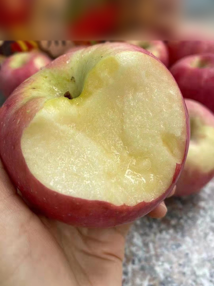 陕西洛川红富士苹果4.5斤中果约10-12个