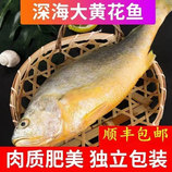 共同