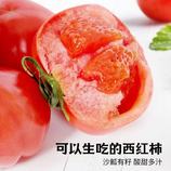 共同