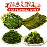 海带苗+海带条+马尾藻+裙带菜