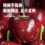 共同