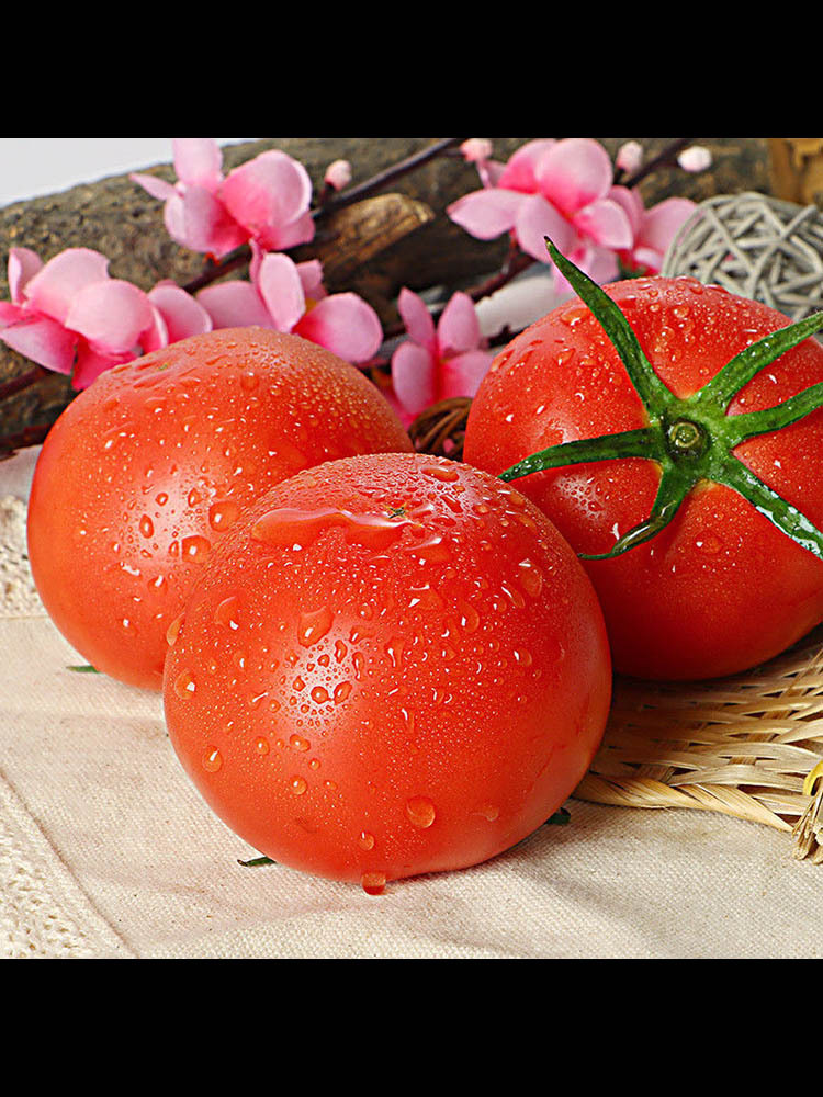 母亲节福利限30单】普罗旺斯西红柿中果4斤±100g（16个左右