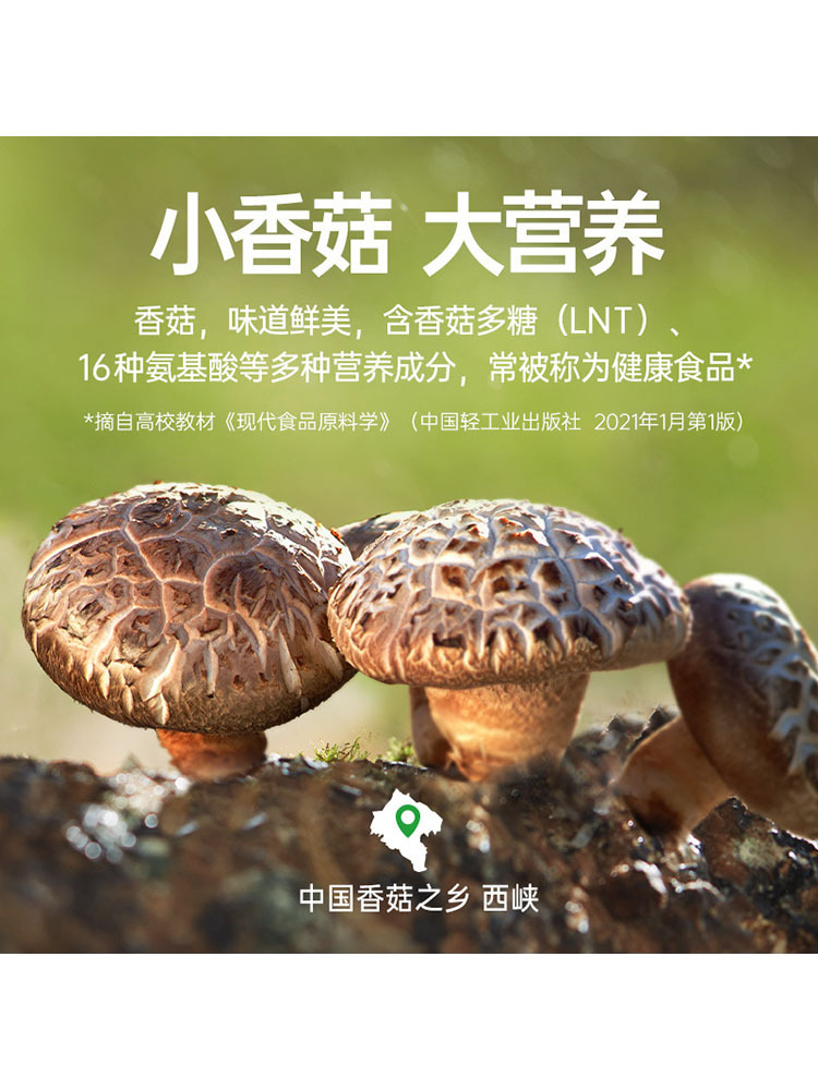 仲景原味香菇酱230g*4瓶