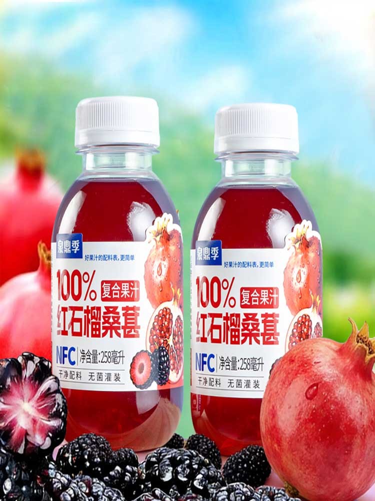 红石榴桑葚复合汁258ml*12瓶