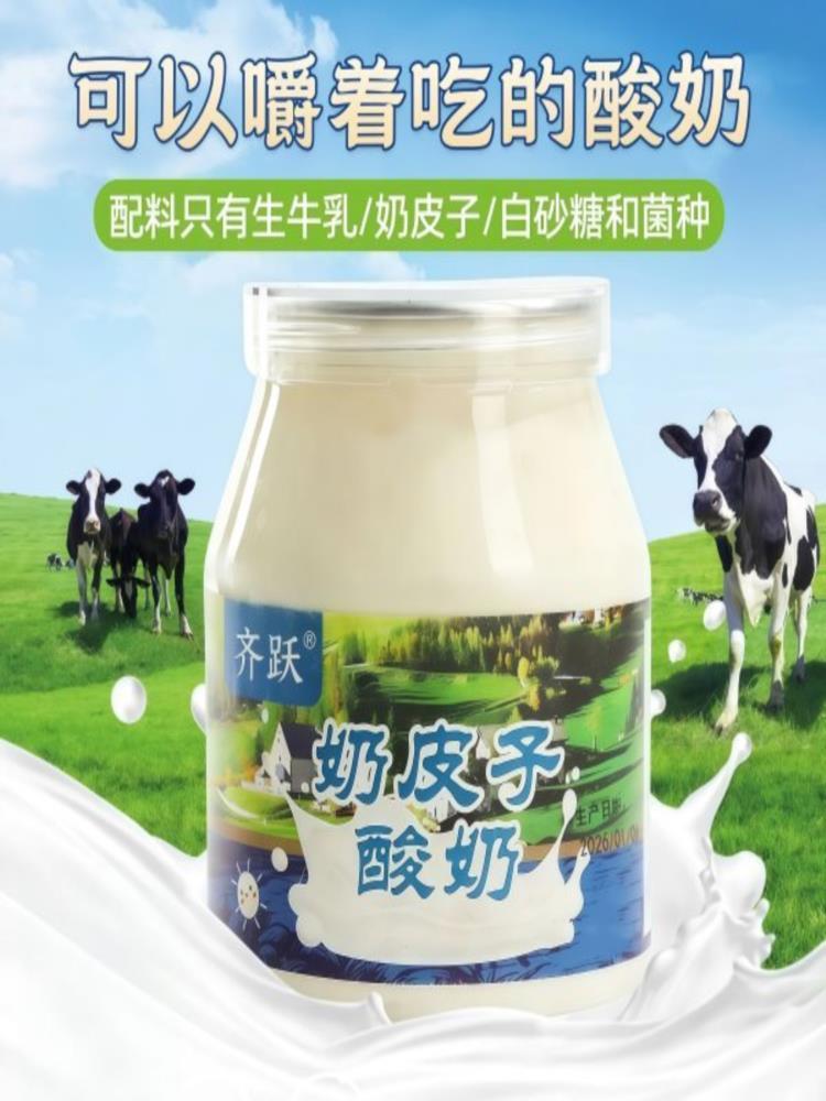 奶皮子酸奶 308g*3罐 酸奶 草原内蒙活菌 内蒙古特产 产地直发