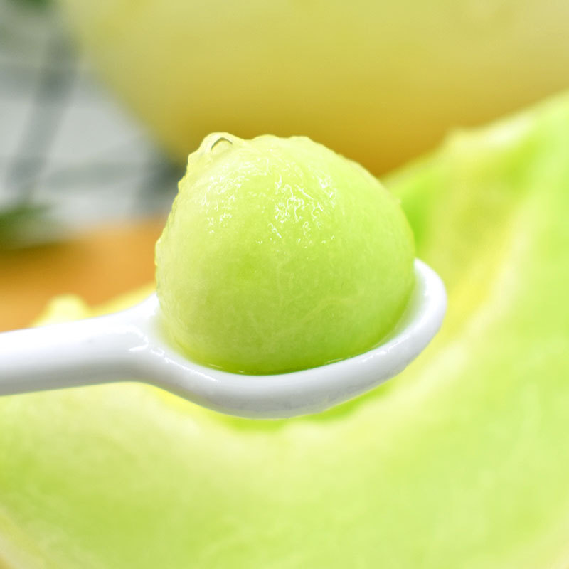 玉菇甜瓜 鲜水果 4.5-5斤装 每天早晨采摘 当天发货