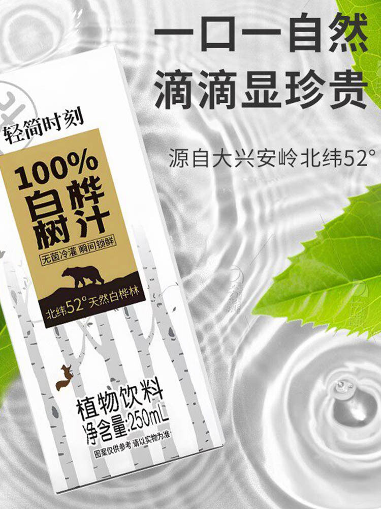 清爽甘冽白桦树汁250ml*20盒 口感清新 小巧便携 植物饮品（冷藏饮用更佳）
