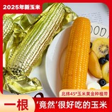 共同