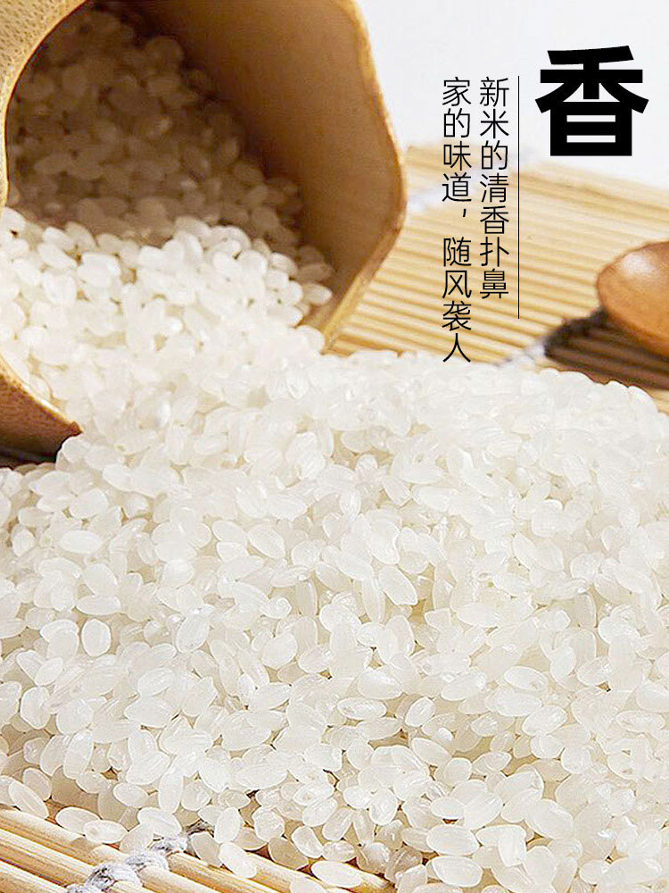 荷馨四季东北黑土地产地直发珍珠米 10斤