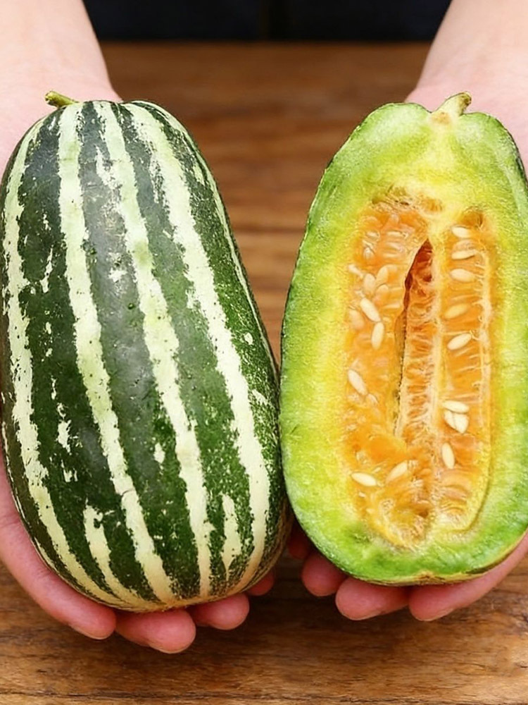 山东博洋9号蜜瓜·5斤