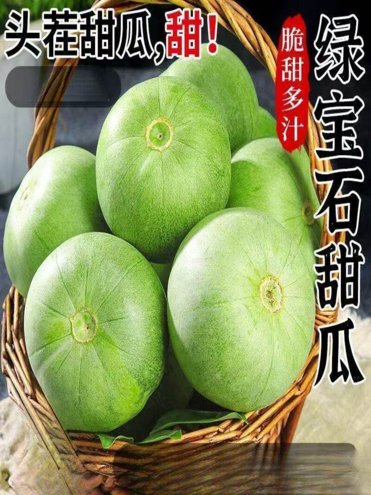 绿宝石甜瓜 5斤装 净重4.3-4.5斤 头茬原棚高品质(山东菏泽)