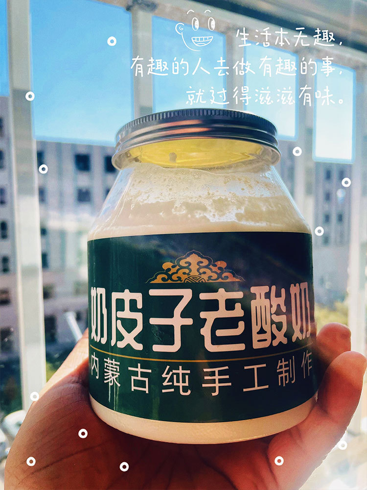 【升级款】内蒙手工奶皮子老酸奶500g*2罐