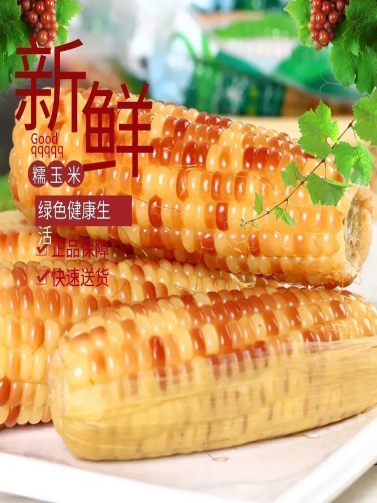 云南花糯玉米 5斤【12-15根精选大玉米棒】软糯玉米 代餐早餐真空包装