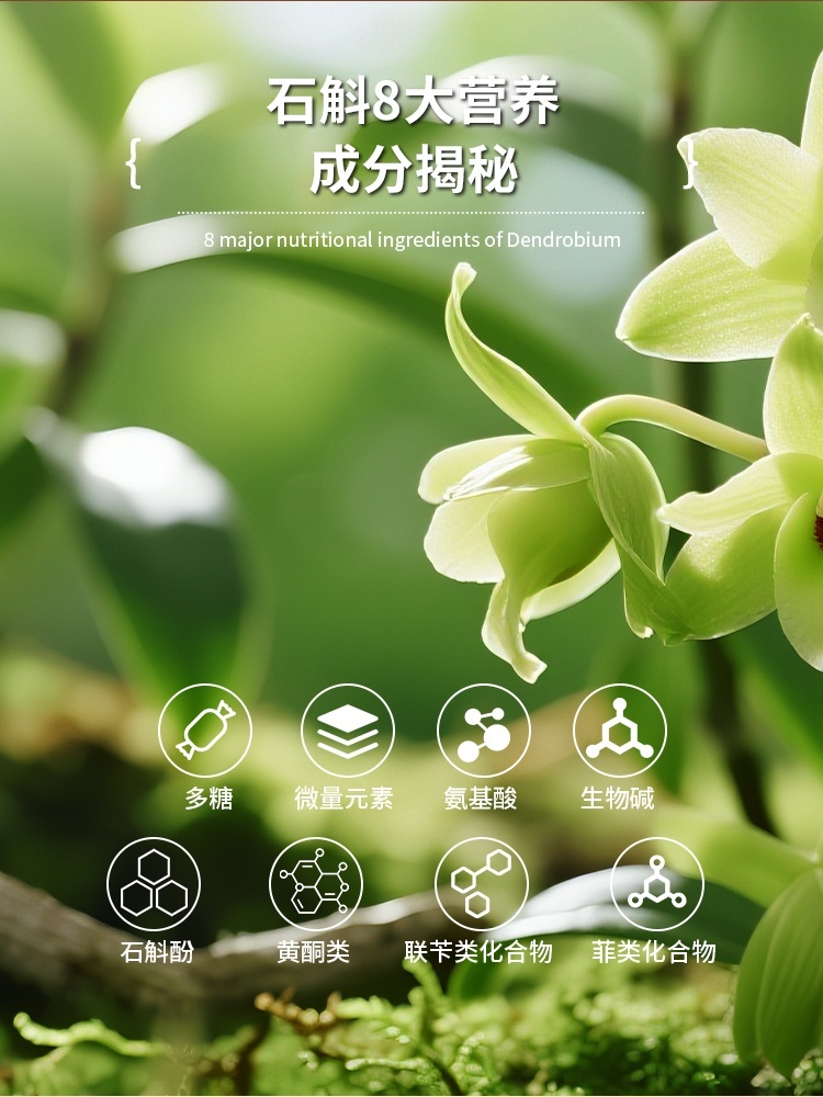 正宗霍山铁皮石斛枫斗-原产地直发-九大仙草-大观博研