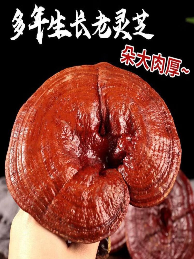 灵芝 500g/袋 深山紫灵芝切片正宗东北特产精选大片泡酒