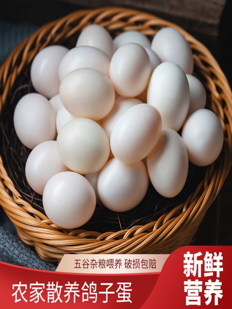 正宗农家杂粮喂养养生鸽子蛋20枚装（单枚约20g）·统一