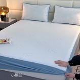 小熊兰