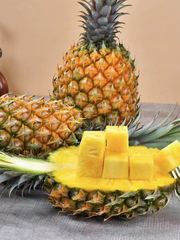 香水菠萝【单果500-1000g】·带箱9斤装