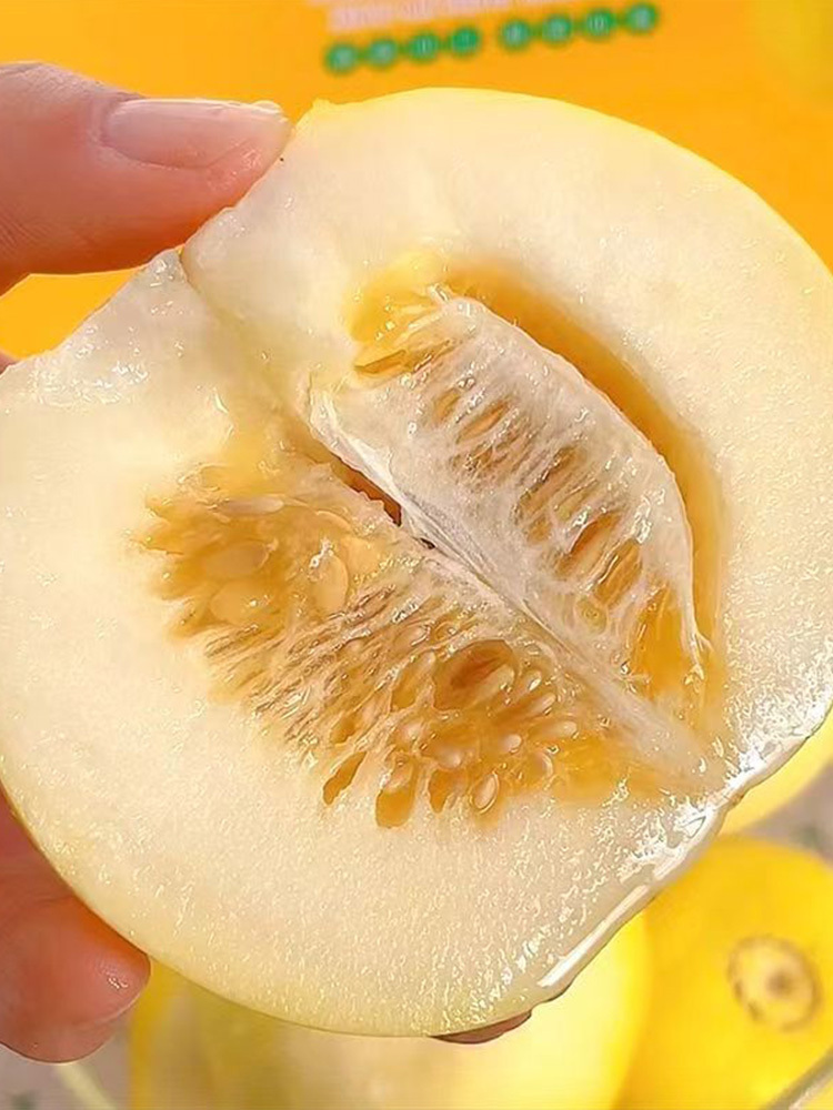 星甜小蜜罐甜瓜【单果150-200g】·4.5斤