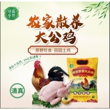 共同