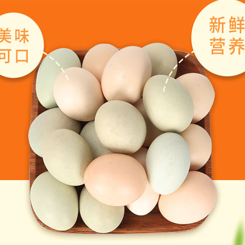蛋类混合装谷物蛋20枚绿壳蛋20枚