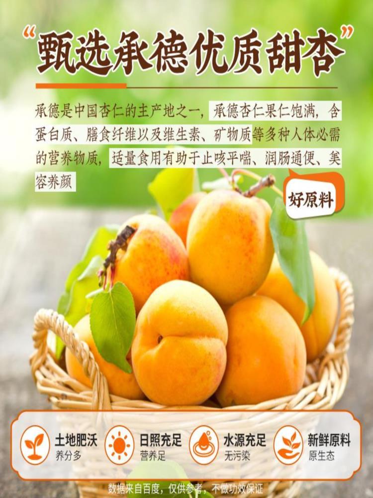 南杏仁 250g*2罐 原味无添加 新货中药材正宗去皮食用