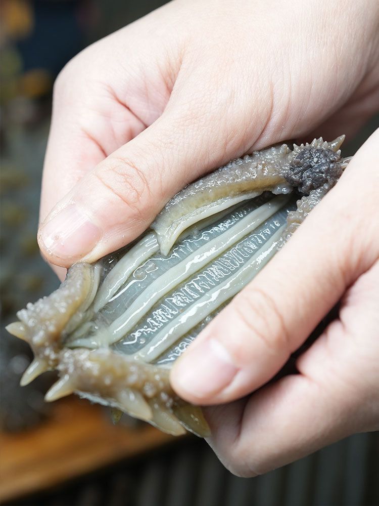 头号海即食海参年度限量抢购组