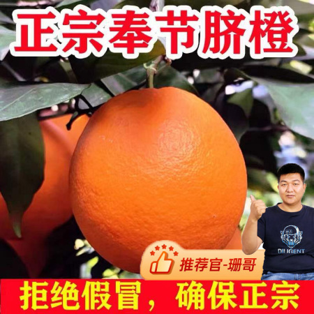 重庆-奉节·现摘脐橙特大果带箱10斤（80-85cm）细腻化渣·净重9.5斤左右