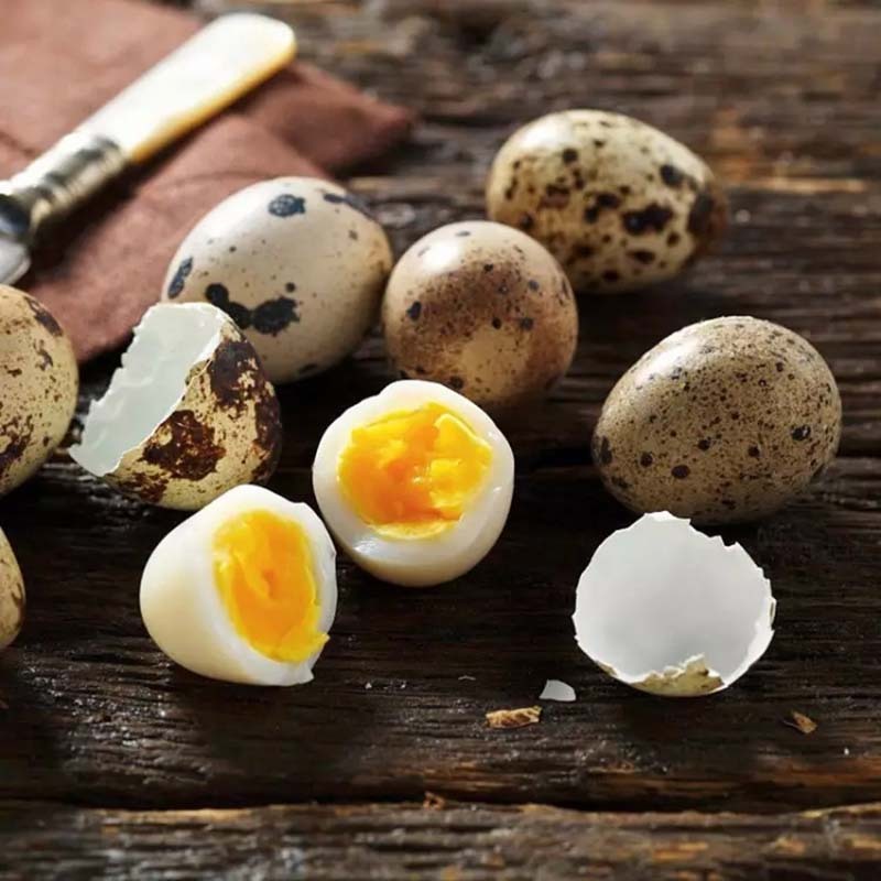 新鲜农家鹌鹑蛋35枚优惠装  