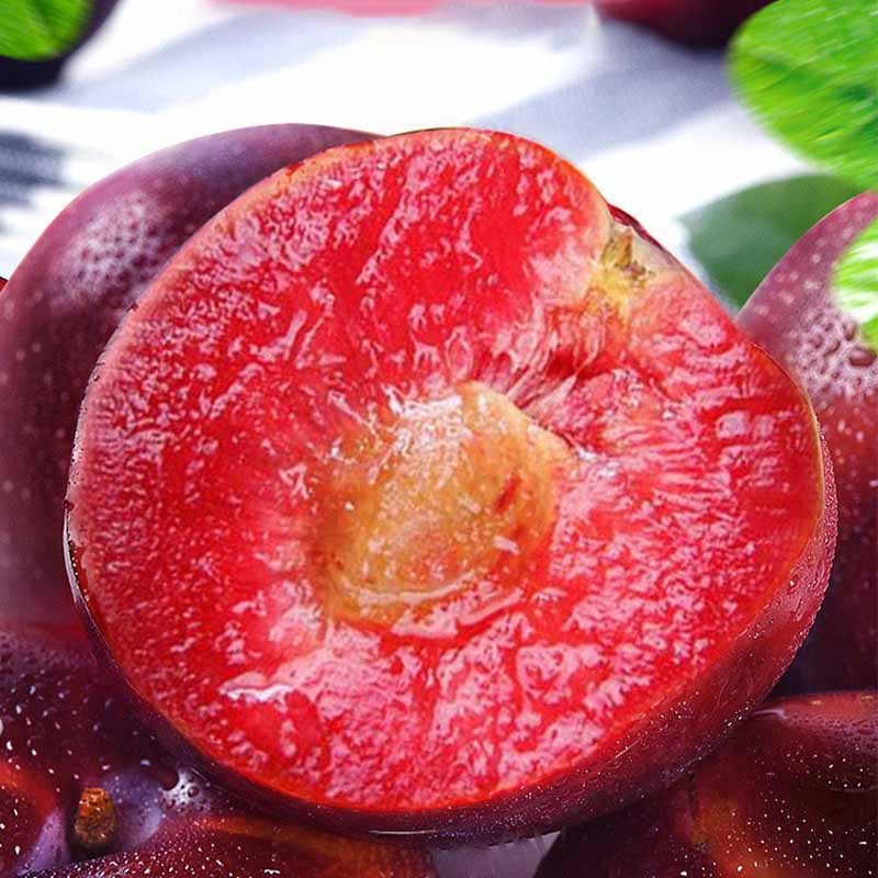 风味玫瑰李净重4.5斤