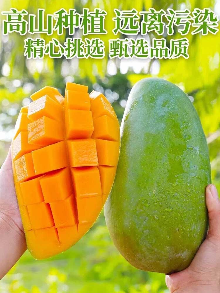 大青芒带箱9斤【单果500g+】果香浓郁 核薄皮薄肉厚 （到货需催熟）