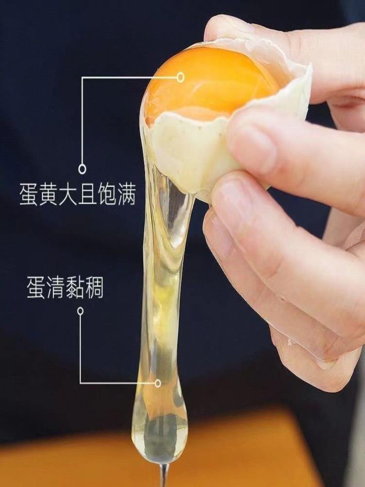 绿壳乌鸡蛋 30枚 1350克 散养新鲜鸡蛋农家绿壳营养