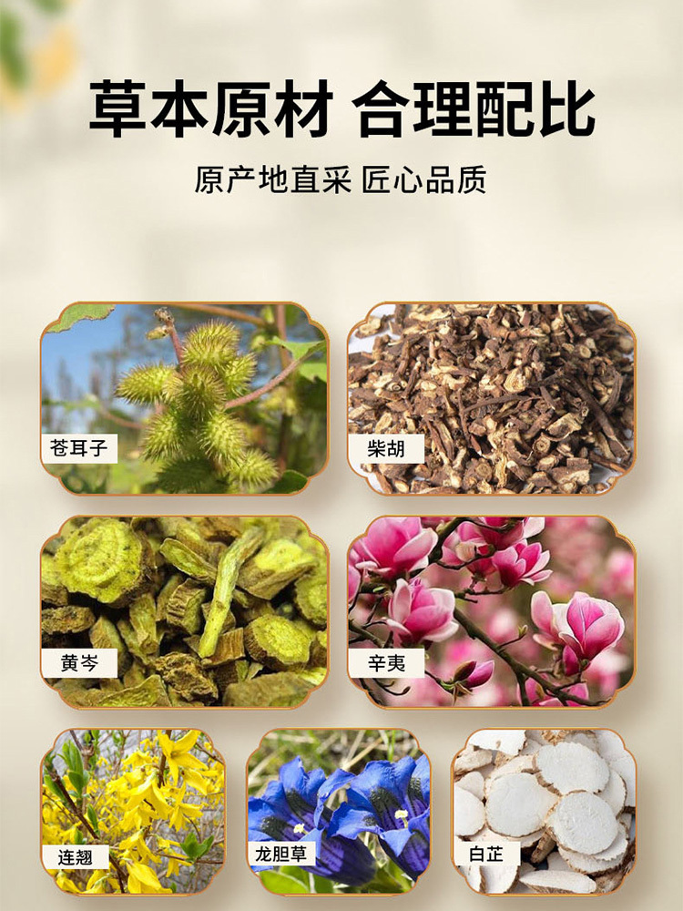 张仲景国药·耳康贴10贴*5盒