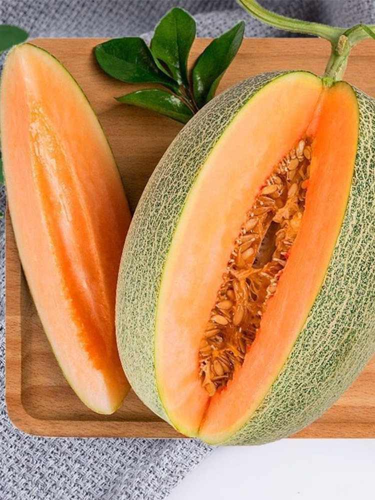 【京航严选】 哈密瓜【西州蜜25号】·9斤