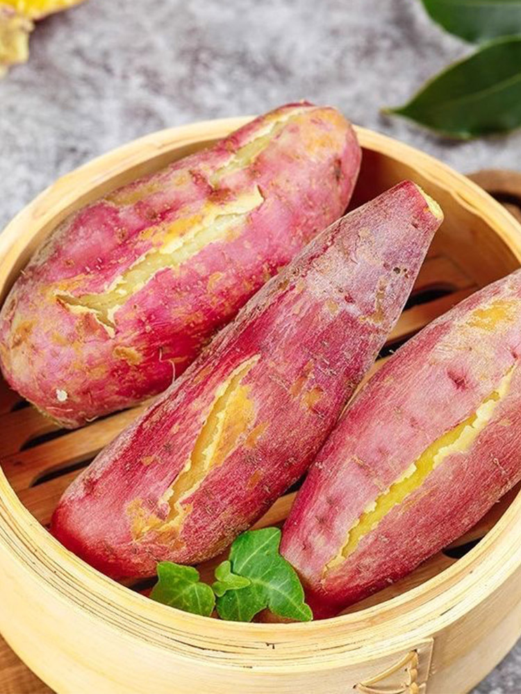 【京航严选】板栗红薯带箱5斤中大果